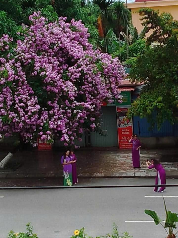 Quang Minh Hotel Tho Son Exterior foto